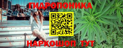 гидра Чапаевск