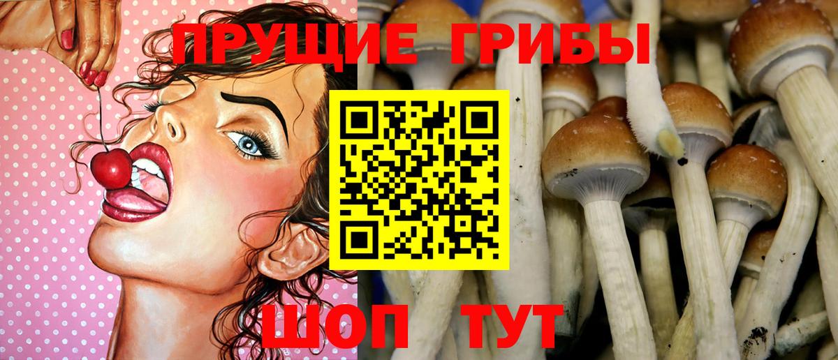 Галлюциногенные грибы MAGIC MUSHROOMS Пермь